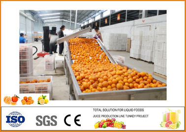 China Cadena de producción de llavero del zumo de naranja SS304 5T/H proveedor