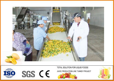 China Eficacia profesional y alta de la línea de transformación del mango de CFM-M-03-03T 3T/H proveedor
