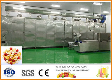 China Cadena de producción de los frutos secos de la fruta y verdura certificación de ISO9001 proveedor