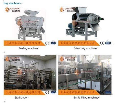 Cadena de producción del jugo de la granada de Coustom 5T/certificado de H ISO9001